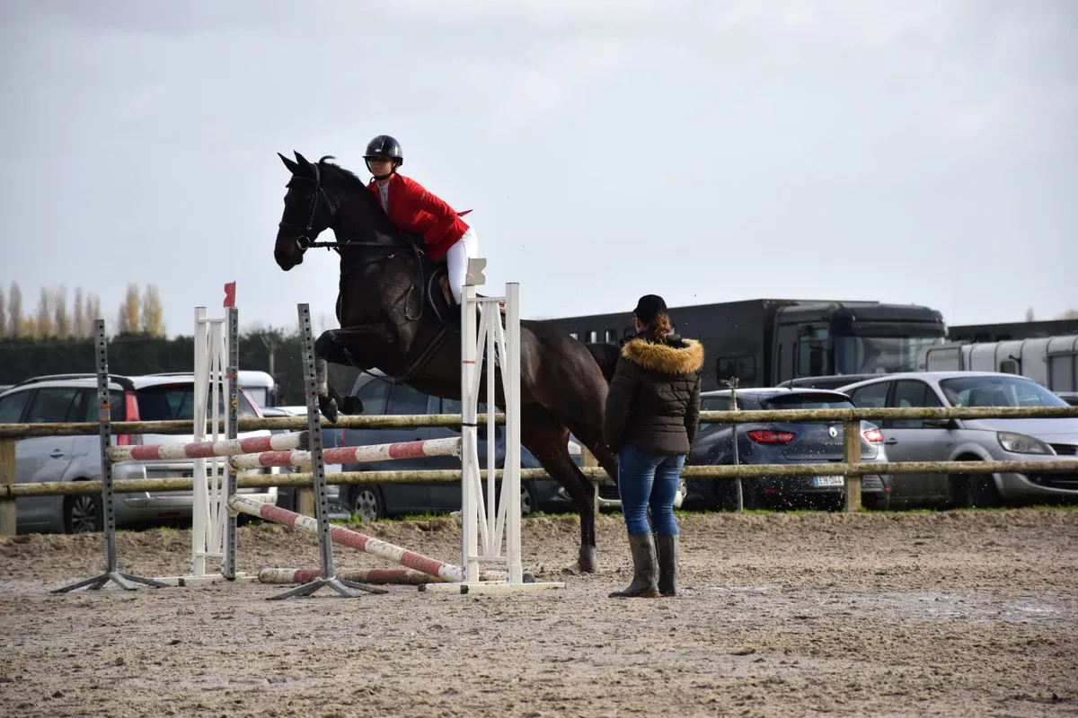 BPJEPS Équitation